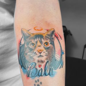 Katze_Color_ComicPortrait_Closeup